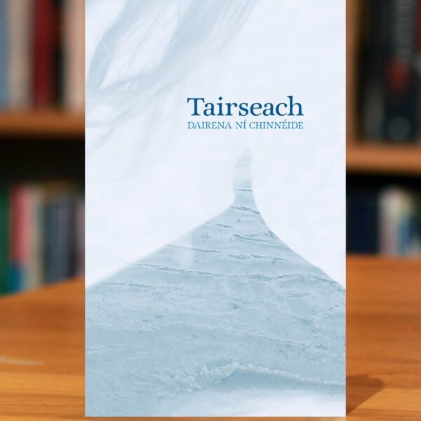 Cover of the book Tairseach (which means Threshold) by Dairena Ní Chinnéide