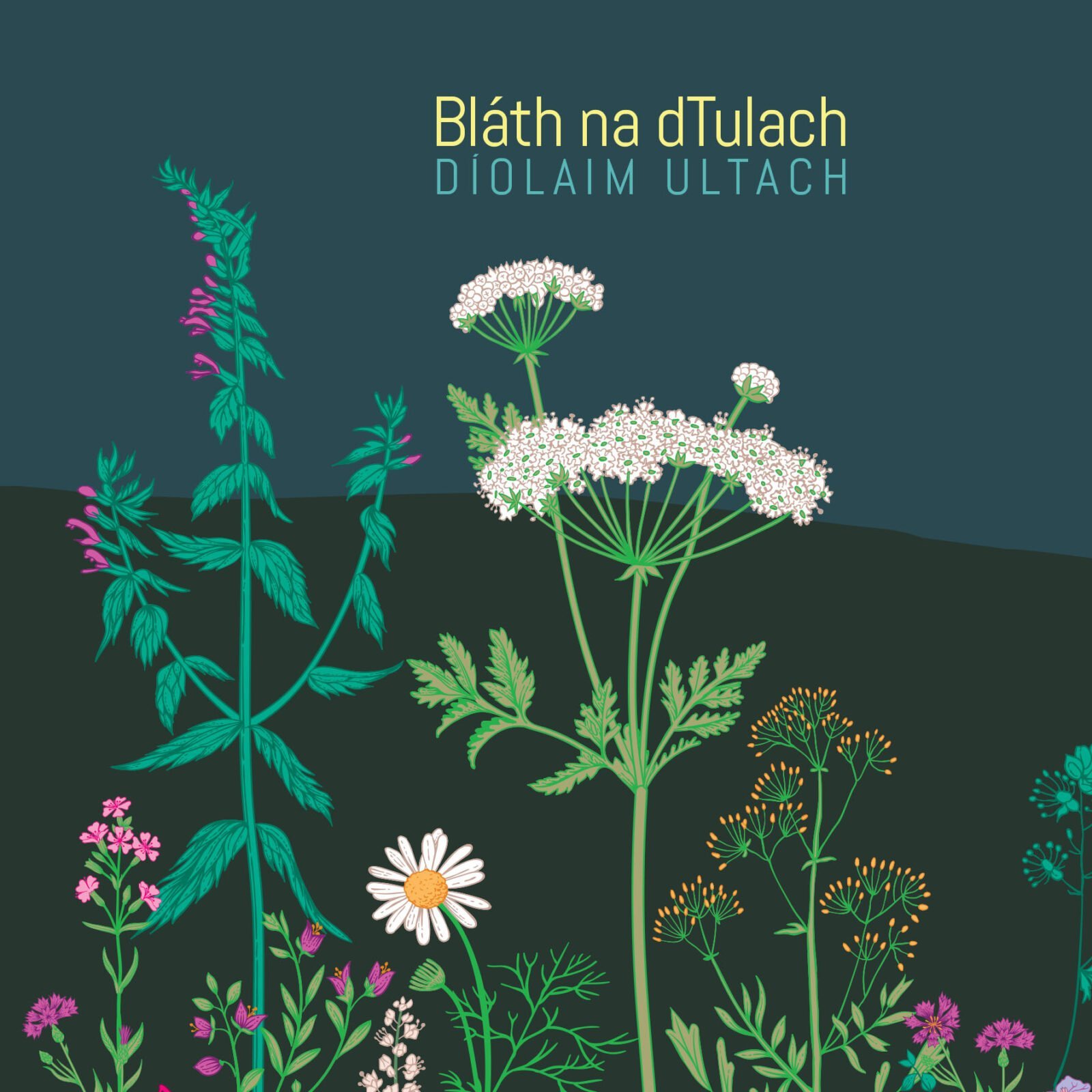 Cover of  Bláth na dTulach