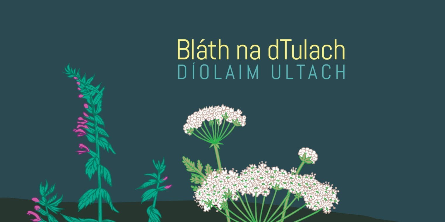 Clúdach Bláth na dTulach