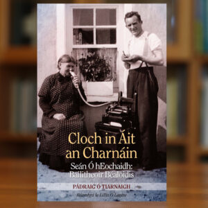 Cloch in Áit an Charnáin